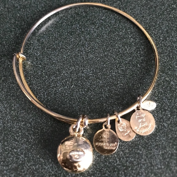 Alex and Ani Expandable Wire Bracelet - Picture 7 of 12